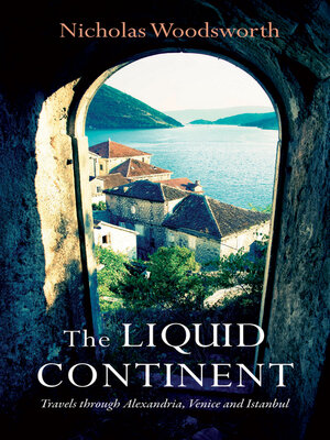 cover image of The Liquid Continent
